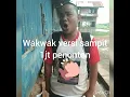 Lagu Suara merdu wakwaw versi sampit
