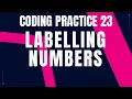 Labelling Number Coding Practice 23 Nxtwave ccbp 4 0 Python coding tips tricks Python Code