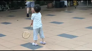                     دندنها