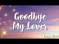 James Blunt -  Goodbye My Lover (Lyrics)