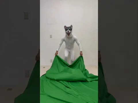 『Dog Illusion②』#dog #illusion