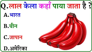 GK Question || GK In Hindi || GK Question and Answer || GK Quiz ||