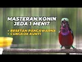 MASTERAN KOLIBRI NINJA NEMBAK BESETAN PANCAWARNA \u0026 CUNGKOK KUNTI FULL TEMAKAN JEDA 1 MENIT