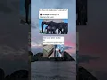 Download Lagu I thought they were gray #relatable #shorts #funny