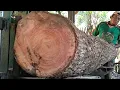 Download Lagu Sawing a large, beautiful piece of mahogany wood measuring 2.5M long