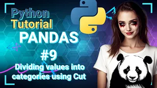 Python Data Science Tutorial PANDAS Dividing values into categories using Cut on DataFrames