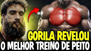 DICAS PARA MELHORAR SEU PEITORAL