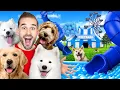 Download Lagu Ik Bouw Een Pretpark Voor Honden In 1 Kleur! *Verrassing*