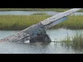 Pilot injured in plane crash near St Augustine Airport