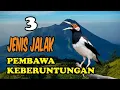 Download Lagu Mitos Burung Jalak Lawu -kalam wadi