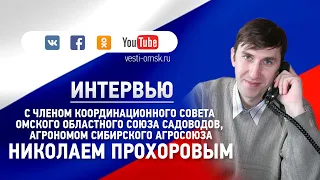 В прямом эфире «Вестей. Подробности» говорим о подготовке дачных участков к зиме. LIVE