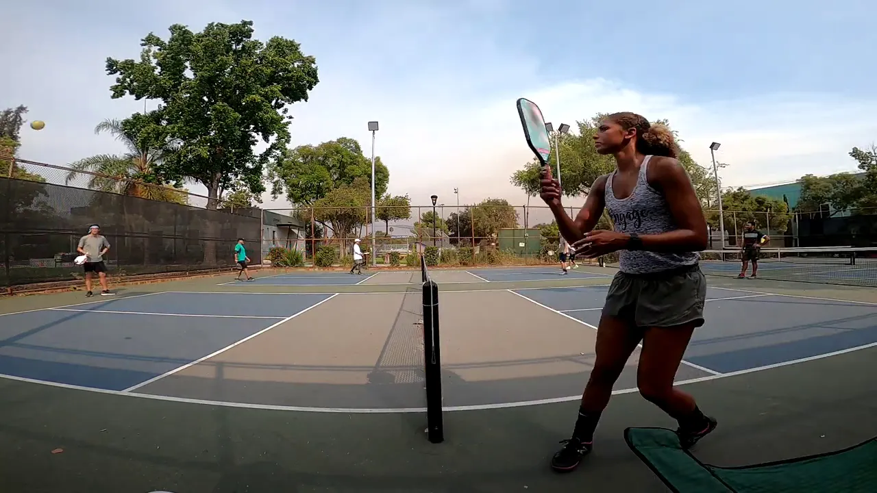 Bad Pickleball High level Rec play 5.0+ Jessie Irvine Julio Rivera Aaron Donofrio Scott Crandall