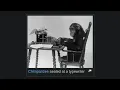 The Infinite Monkey Theorem