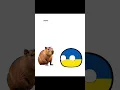 Download Lagu Chipi Chipi Chapa Chapa 🤣 #countryballs #shorts