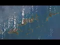 Satellite images show Caribbean after Irma