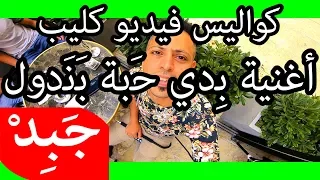             كواليس حبة بندول دندنها