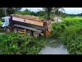 Download Lagu First Start Amazing PROJECT!! LANDFILL Huge Size Deep pond Use SHANTUI DOZER \u0026 25Ton Truck Unloading