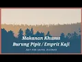 Lagu Makanan khusus burung Pipit emprit, emprit kaji, dan emprit jepang