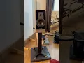 Download Lagu Audiophile HiEnd Home Stereo Sound System ❤️ DYNAUDIO 🔥 HighEnd Speaker HiFi Setup #audiophile