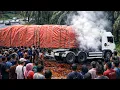 Lagu Ngeri || Suasana Menjadi Kacau Truck Trailer Mundur Kencang Akibat Tumpahan Minyak CPO