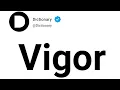 Vigor Meaning In English