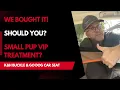 K H Buckle Go Dog Car Seat - Vip Treatment For Small Dogs Will It Work For Big Dogs