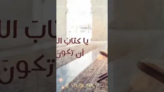تاج الوقار اجمل نشيد في حب القرآن بدون موسيقى عمار صرصر 