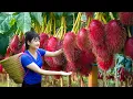 Download Lagu How to Harvest Giant Bitter gourd, Sponge gourd - Recipe Delicous banana dessert and deep fry fish