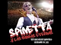 Spinetta y Las Bandas Eternas - Estadio Velez Sársfield (09/12/2009)