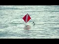 Dive Flag Rules