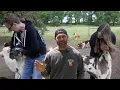 What a beautiful day reuniting Willow and Ivy with their amazing former owners