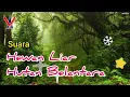Suara hewan liar hutan belantara | Backsound IPS - Potensi Sumber Daya Hutan