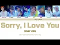 Download Lagu Stray Kids (스트레이 키즈) - Sorry, I Love You (좋아해서 미안) (Color Coded Lyrics)