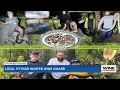 Florida Python Challenge winner catches nearly 11-foot-long snake