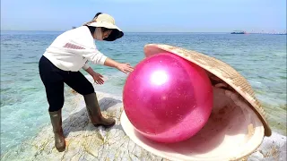 Wild marine pearl oysters produce high-quality pearls.