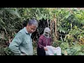 Download Lagu Mr. Ha hid from his mother that he and his second wife were picking Giang leaves to sell