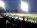 Download Lagu YO AYO      AYO PERSELA