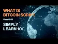 Bitcoin Script in Blockchain simply explained Class - Simply Learn Blockchain 101