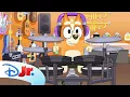 Download Lagu FULL BLUEY MINISODE | Drums | @disneyjr x @blueyofficalchannel