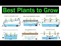 Which Hydroponic System is Better for Plants Crops Best Plants to Grow Types of Hydroponics
