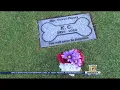 Only pet cemetery in Bakersfield