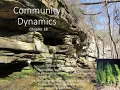 Community Structure and Ecological Succession