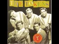 The Lion Sleeps Tonight (Wimoweh) - The Tokens