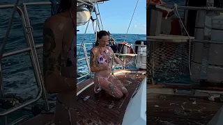 Unusual Navigational Hazard – Sailing Brazil to French Guiana! #sailing  #travel #sailingfamily