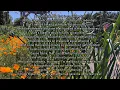 Hate To Say - Tory Lanez (Lyrics)