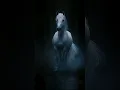 Download Lagu Erik Satie - Gymnopédie No.1 | White Horse | ASMR |#eriksatie #gymnopedie1#whitehorse#classicalmusic