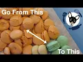 Troubleshooting French Macarons Explaining Common Problems
