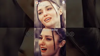 جرح المشاعر اكبر من جرح الخيانه  جرح المشاعر اكبر من جرح الخيانه