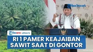 Prabowo Lagi-lagi Sebut Kelapa Sawit Tanaman Ajaib, Kali Ini di Depan Kiai dan Santri Ponpes Gontor