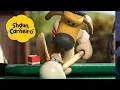Cachorro de sinuca 🐑Shaun, o Carneiro [Shaun the Sheep]🐑 Hora Especial🐑| Cartoons Para Crianças